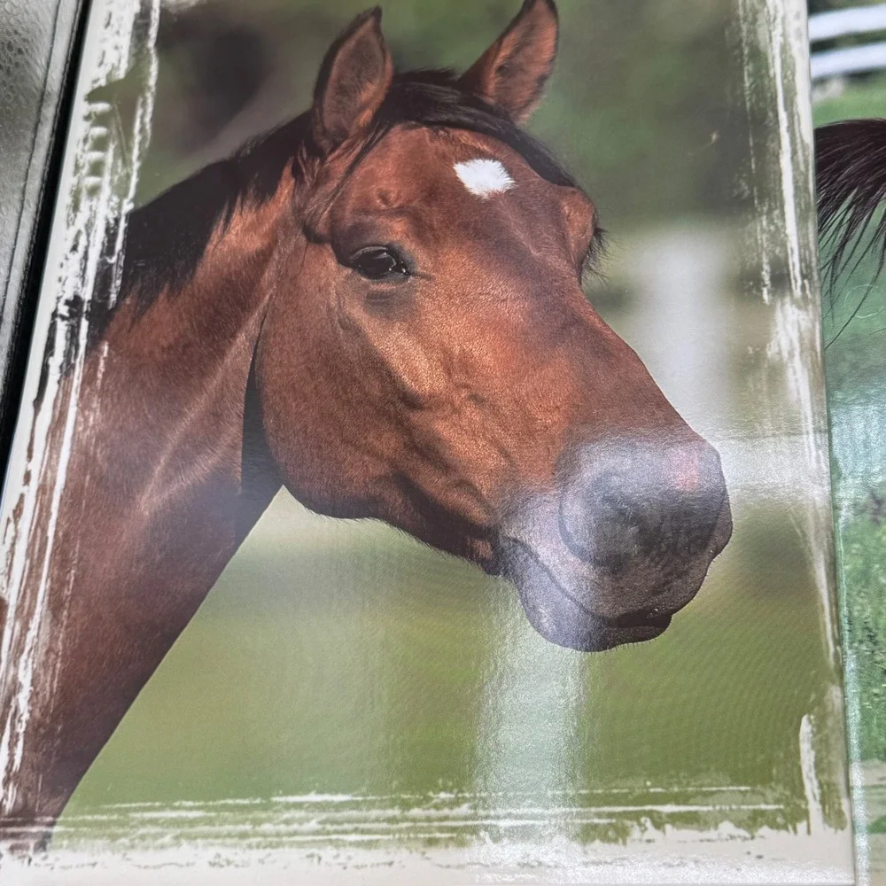 Vintage 2004 Mead Horse Portfolio Folders Set of 4 Bob Langrish Photography